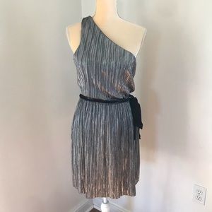 Metallic silver with black detail Express dress